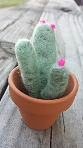 Felted Succulents