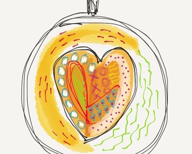 Drawing in Paper53 app