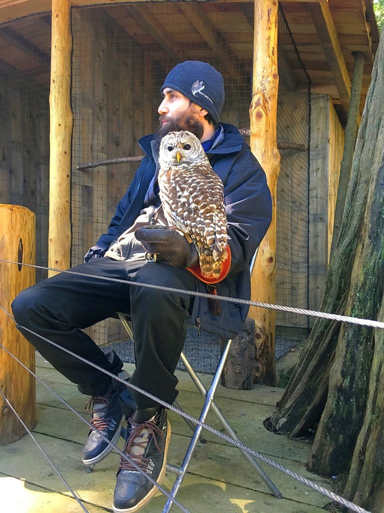 Caplilano suspension bridge