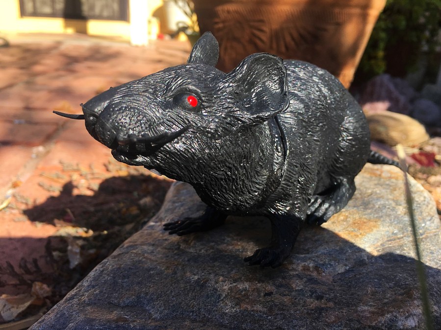 Halloween decorations