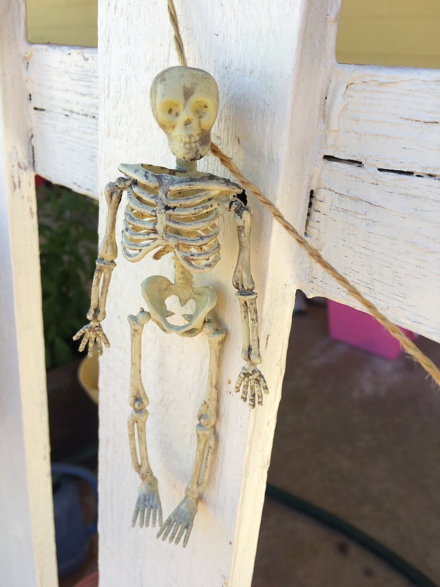 Halloween skeleton
