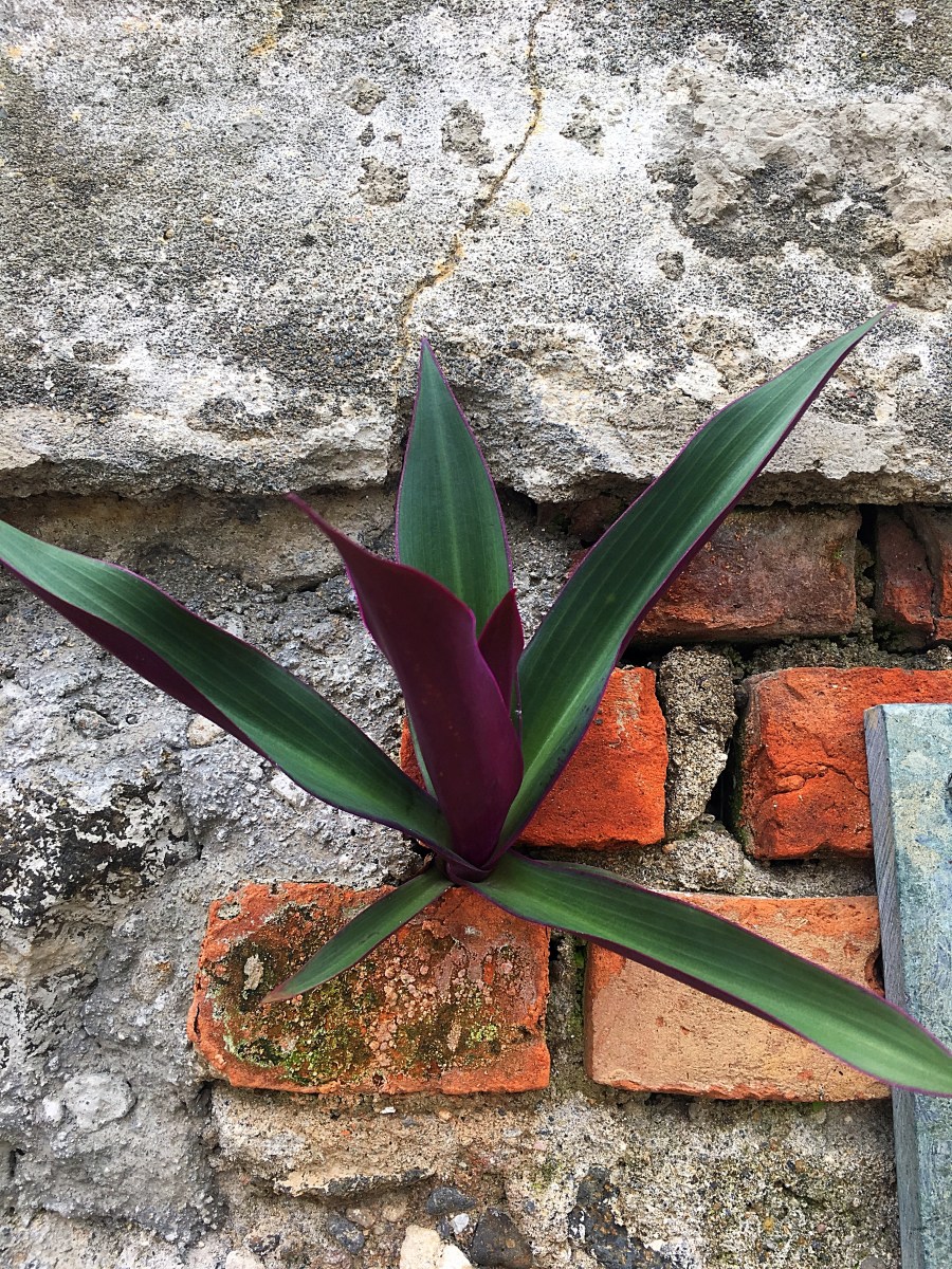 San Jose, Costa Rica