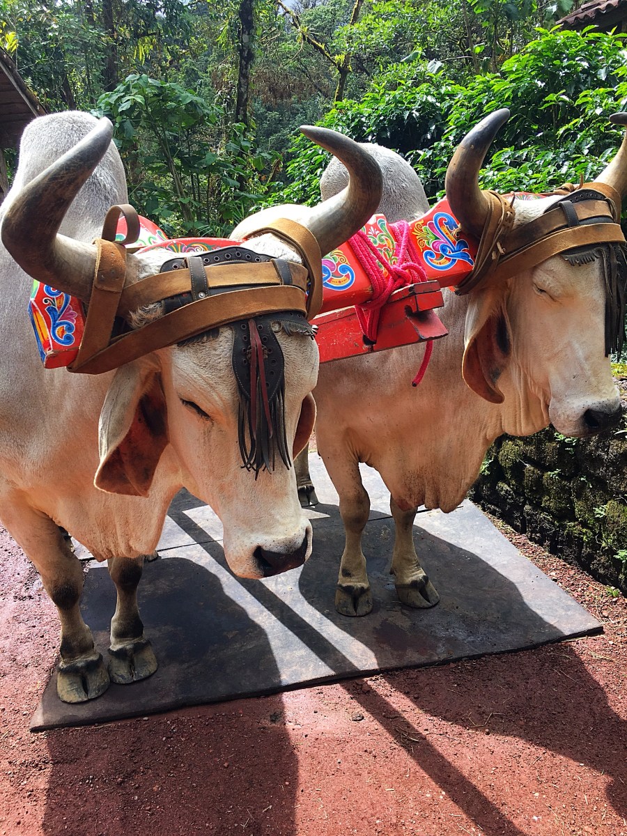 La Paz Waterfall Gardens