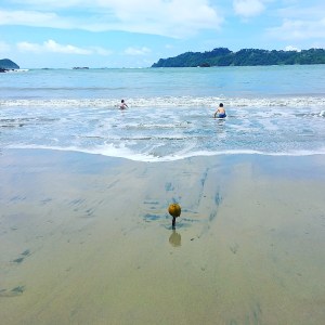 Manuel Antonio National Park, Costa Rica