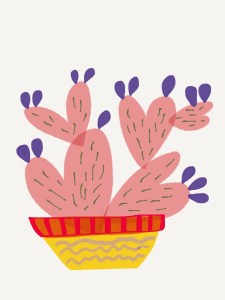 Heart cactus
