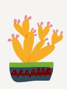 Heart cactus