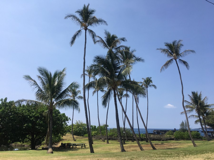 Hawaii - The Big Island