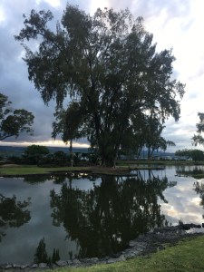 Hawaii - The Big Island