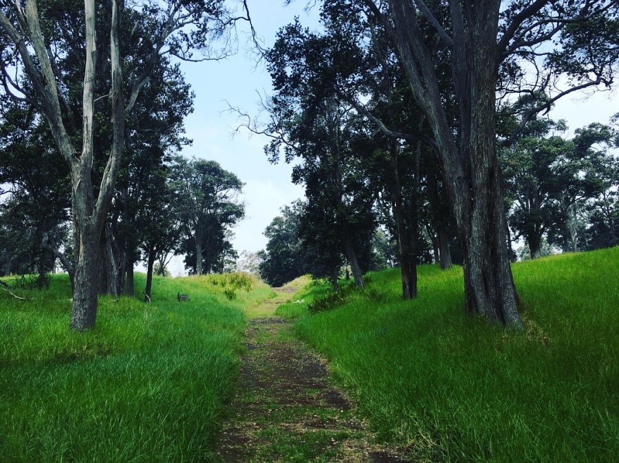 Hawaii - The Big Island