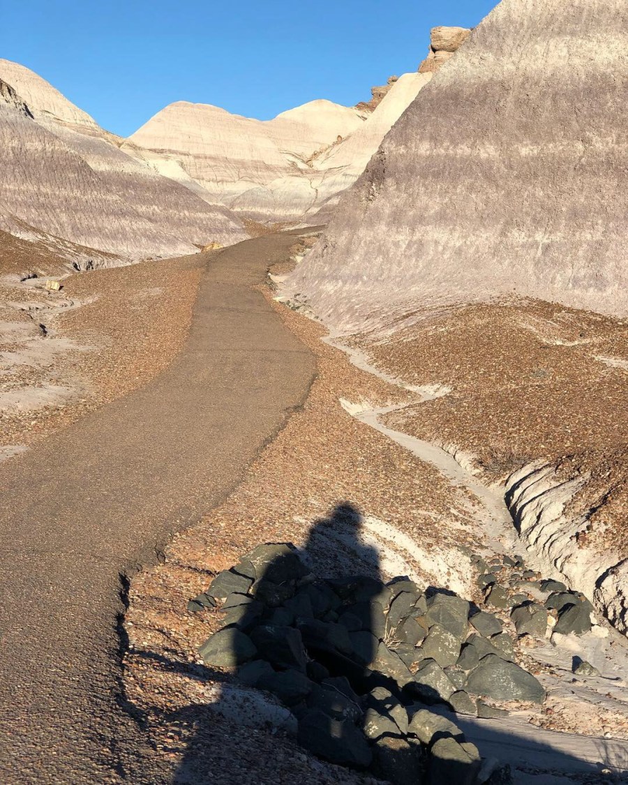 Petrified Forest, Arizona